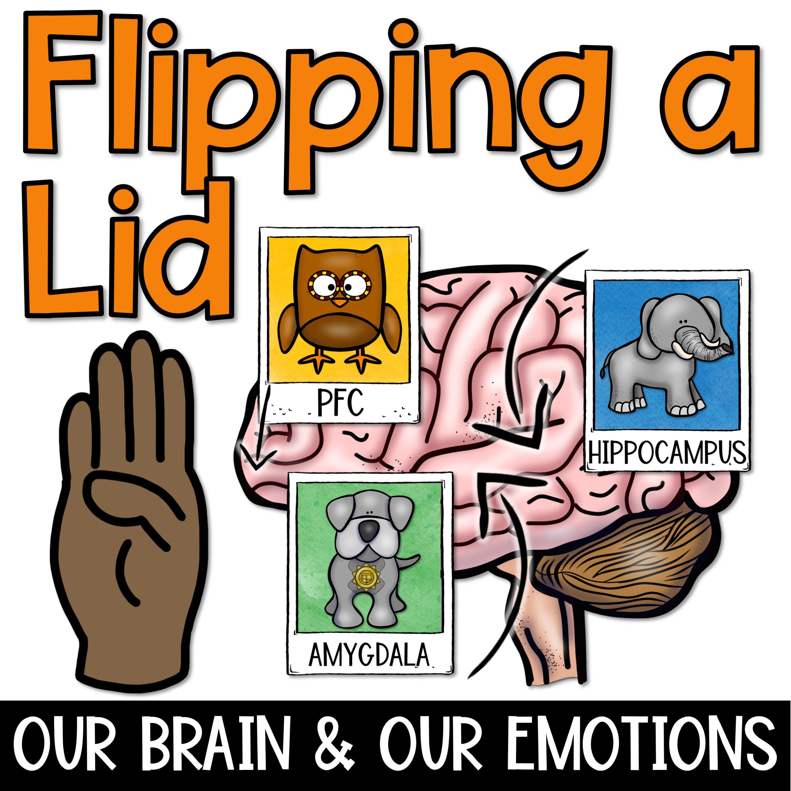 Flipping a Lid: Brain Activities and Lesson
