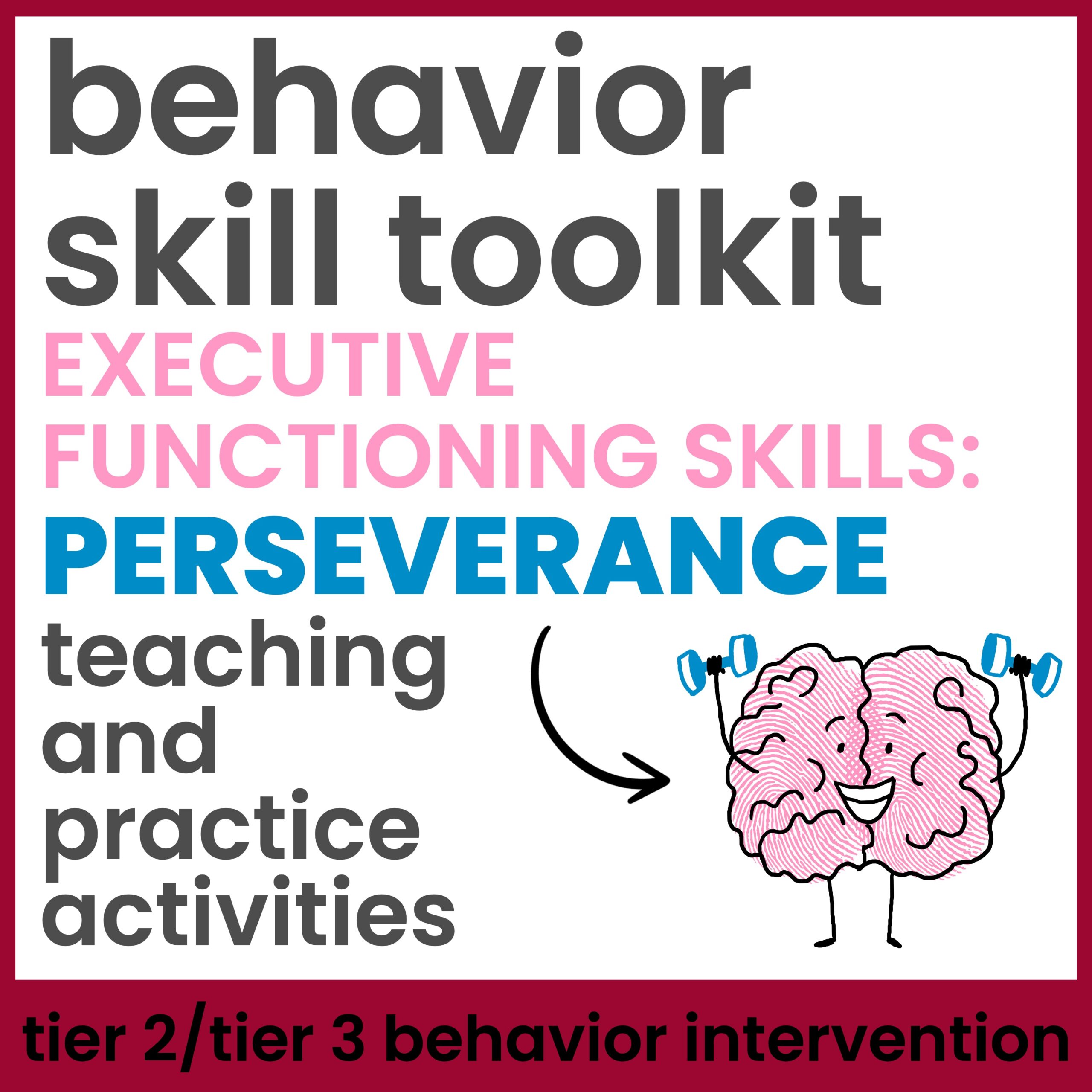 Perseverance Executive Functioning Skills Behavior Intervention Activities
